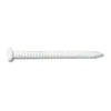 Monster Fastener White Painted Steel Panel Flat Head Nails