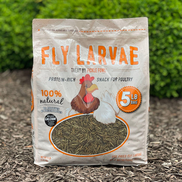 Buffalo Black Soldier Fly Larvae