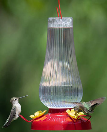 HUMMINGBIRD FEEDER 20 OZ FLUTED OIL LAMP