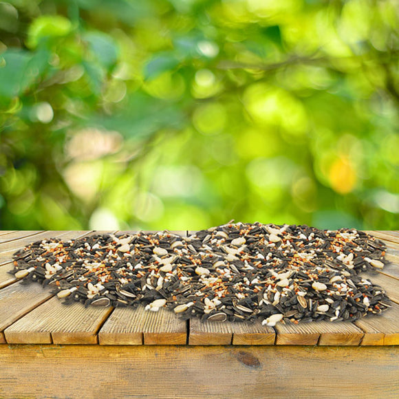 BestNest Wild Bird Seed Mix Deluxe Blend with Fruit