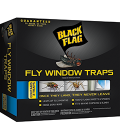 Black Flag Fly Window Traps