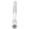 K9 Fasteners Greyhound Reverse Thread Trim White
