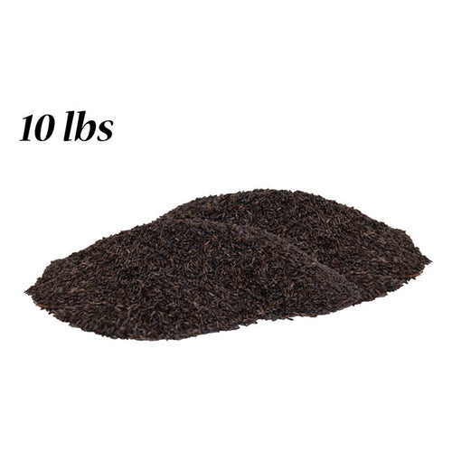 Best Nest Nyjer Seed (Thistle Seed)
