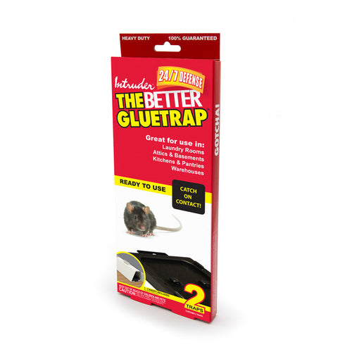 Intruder The Better Gluetrap™