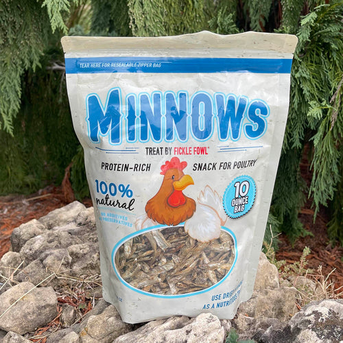 Buffalo Fickle Fowl Dried Minnows