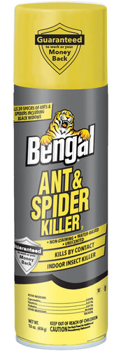 Bengal Ant & Spider Killer 2