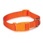 Casual Canine Nylon Dog Collars 10-16 in, Orange