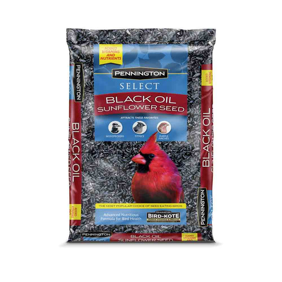 Pennington Select Black Oil Sunflower Seed 20 lbs