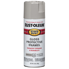Rust-Oleum® Protective Enamel Spray Paint Gloss Pewter Gray (12 Oz, Gloss Pewter Gray)